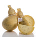 Semi-seasoned Caciocavallo cheese with black truffle flakes - whole - Stella Italiana