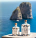 The Essence of Capri - Limoncello Gin Hand Painted Jar - Stella Italiana