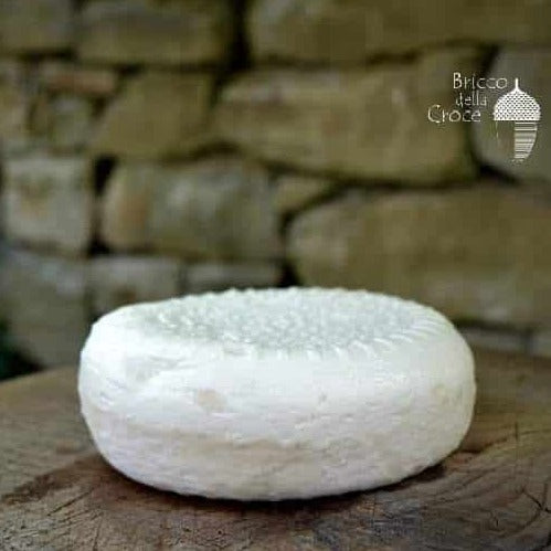 Artisan Toma di Pecora delle Langhe Cheese - Stella Italiana