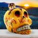 Tequila Kah Reposado - Handmade painted Bootle - Stella Italiana