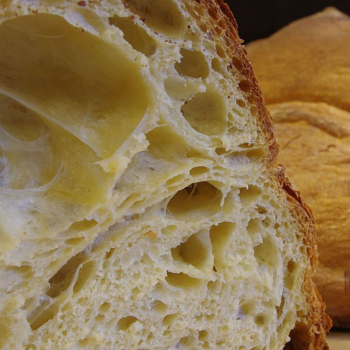 Pane di Matera - The Big Bread of Matera Presidio slow food - Stella Italiana